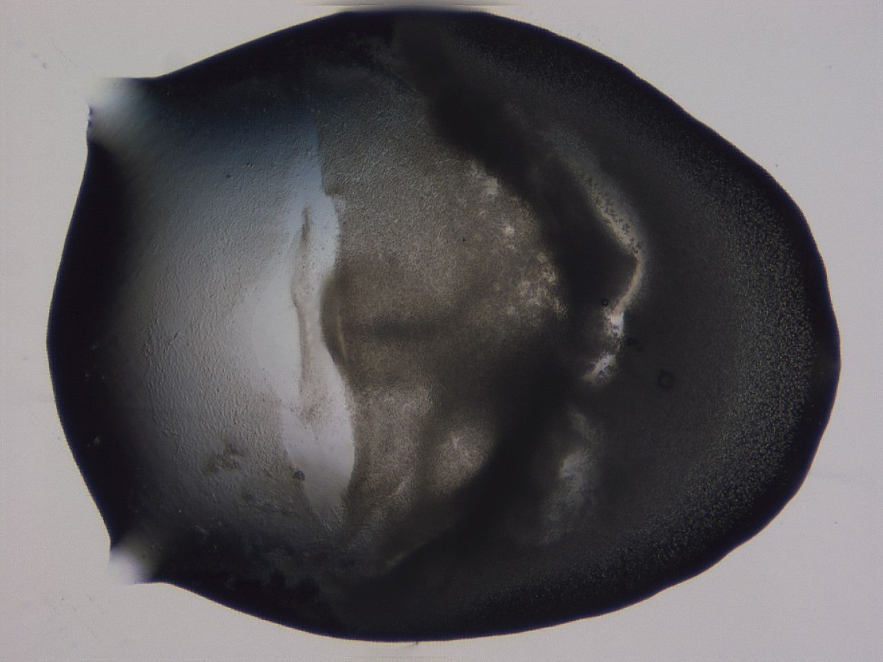 04vc_F7_ImagerDefaults_3.jpg