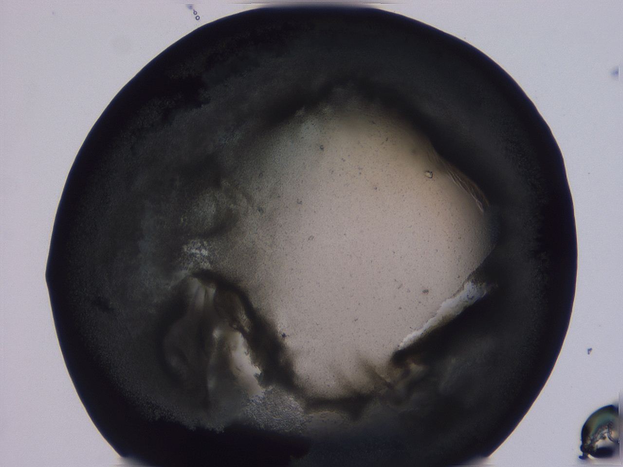04vc_F8_ImagerDefaults_3.jpg
