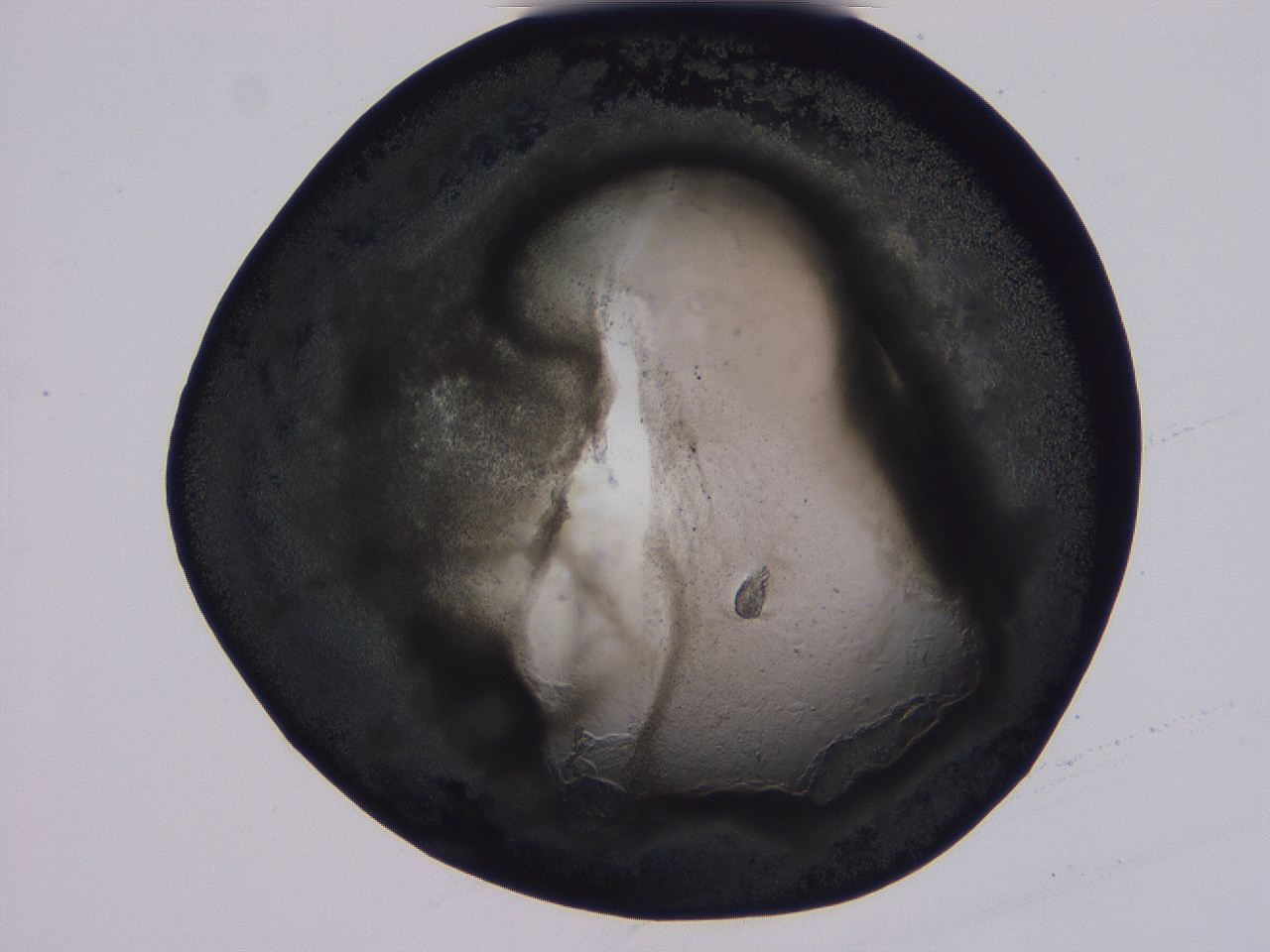 04vc_F9_ImagerDefaults_3.jpg