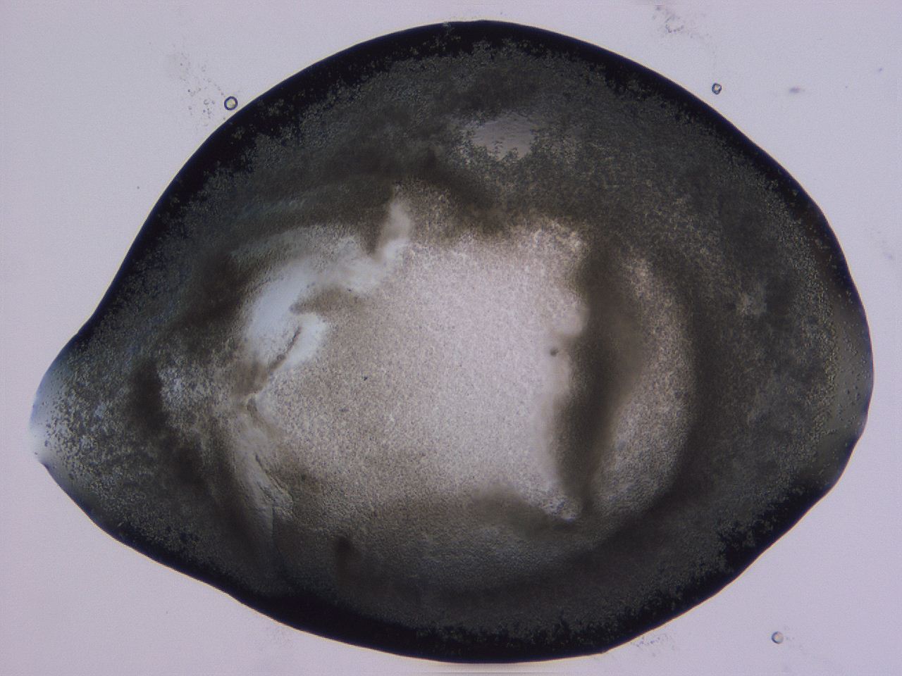 04vc_F12_ImagerDefaults_3.jpg