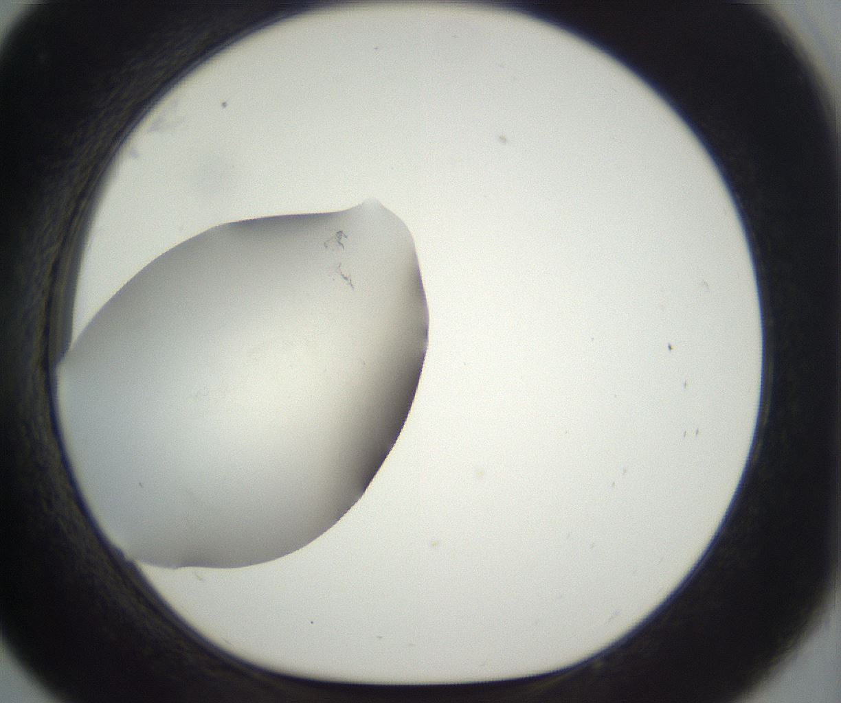folderID285_plateID3285_batchID19390_wellNum33_profileID1_d1_r289812_ef.jpg