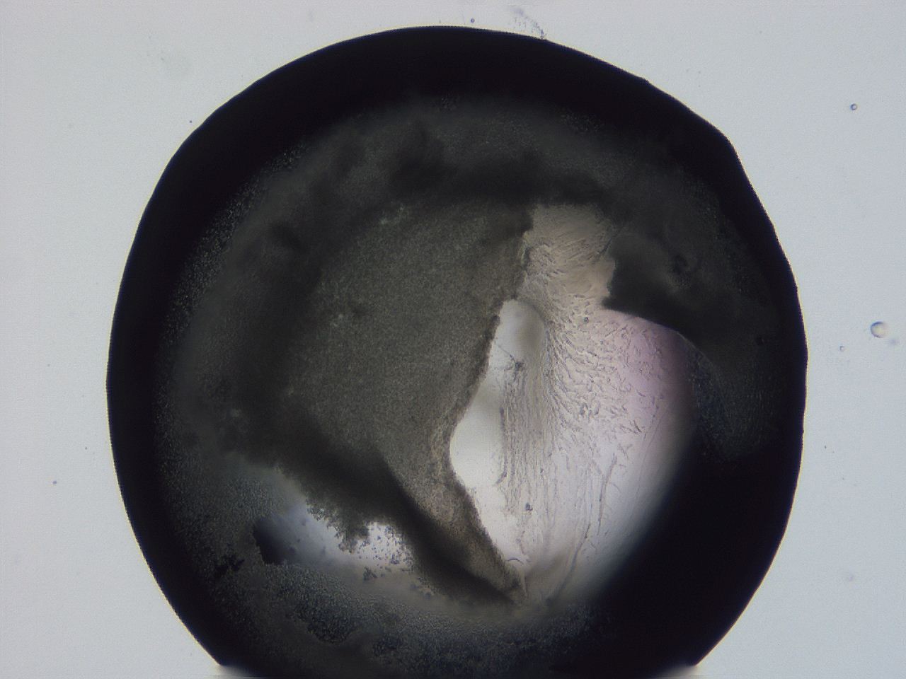 04vc_G6_ImagerDefaults_3.jpg