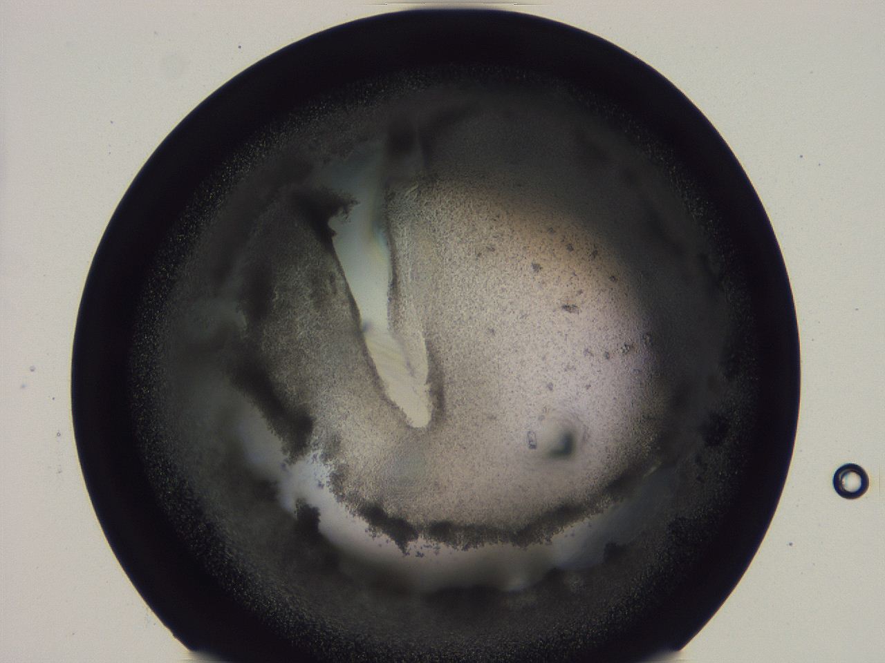 04vc_G10_ImagerDefaults_9.jpg