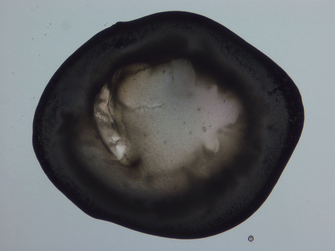 04vc_G11_ImagerDefaults_3.jpg