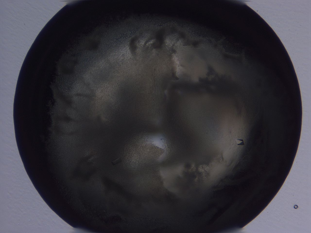 04vc_H1_ImagerDefaults_9.jpg