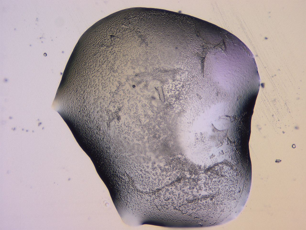 04vc_H6_ImagerDefaults_3.jpg