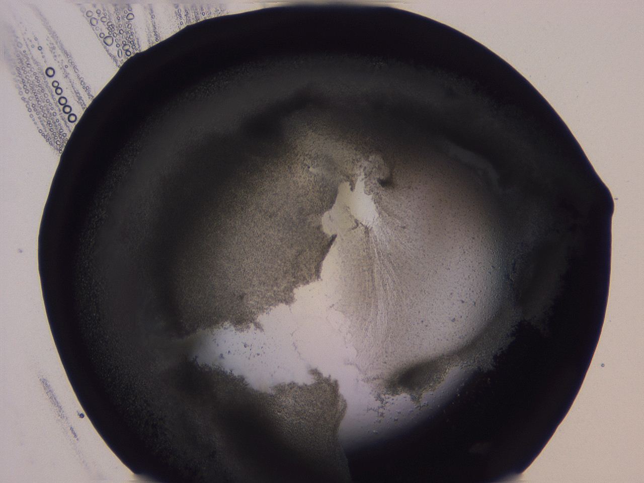 04vc_H10_ImagerDefaults_3.jpg