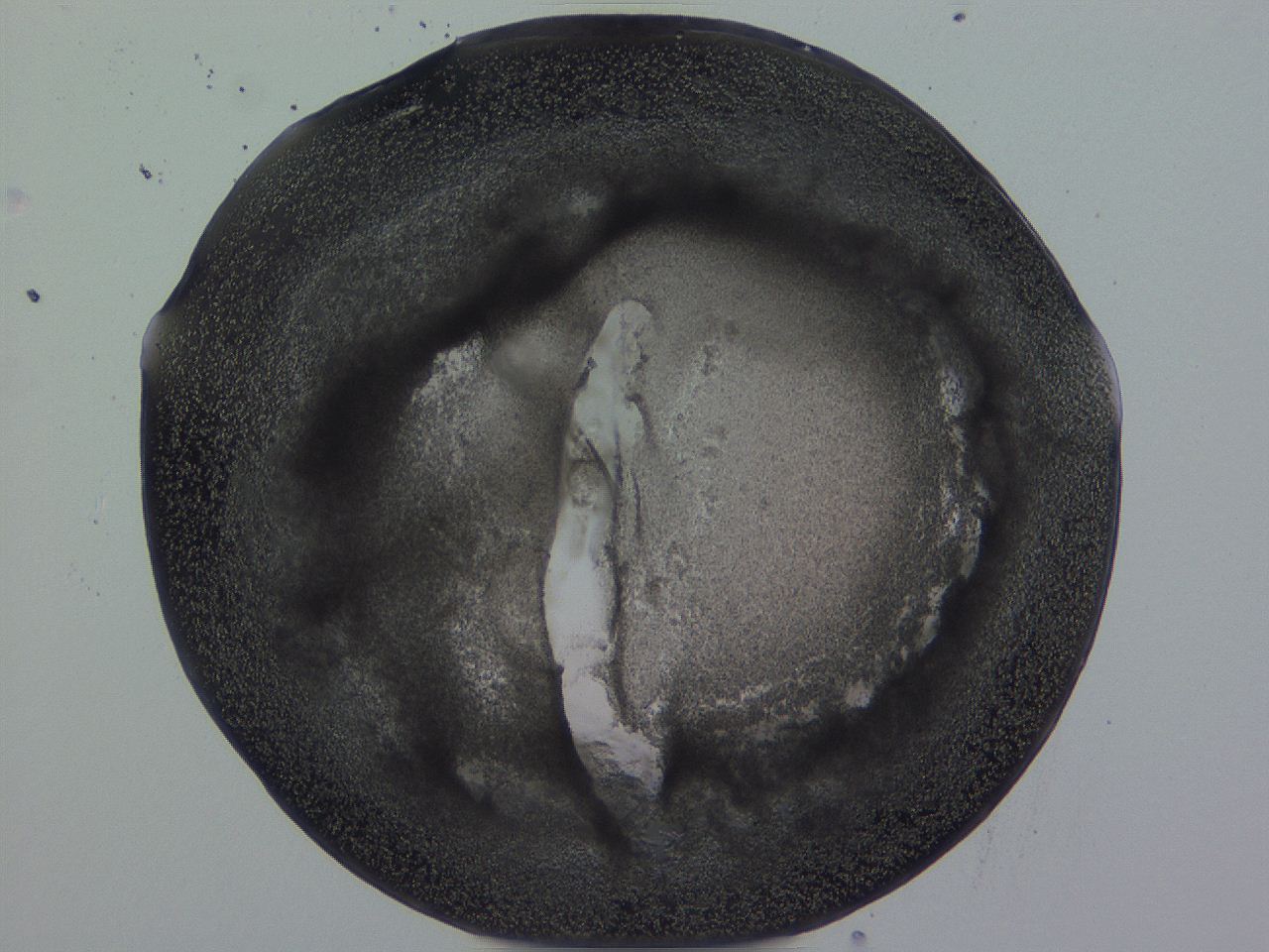 04vc_H11_ImagerDefaults_3.jpg