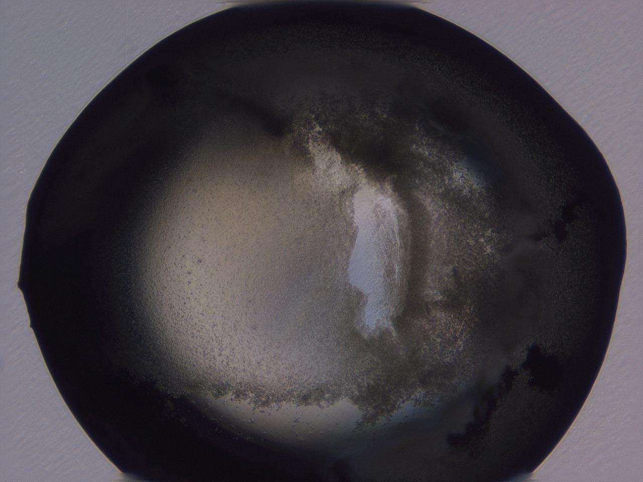 04vc_H12_ImagerDefaults_3.jpg