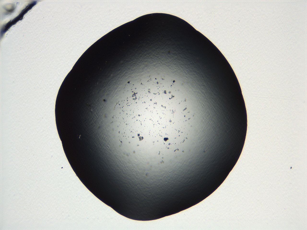 04vd_C9_ImagerDefaults_3.jpg