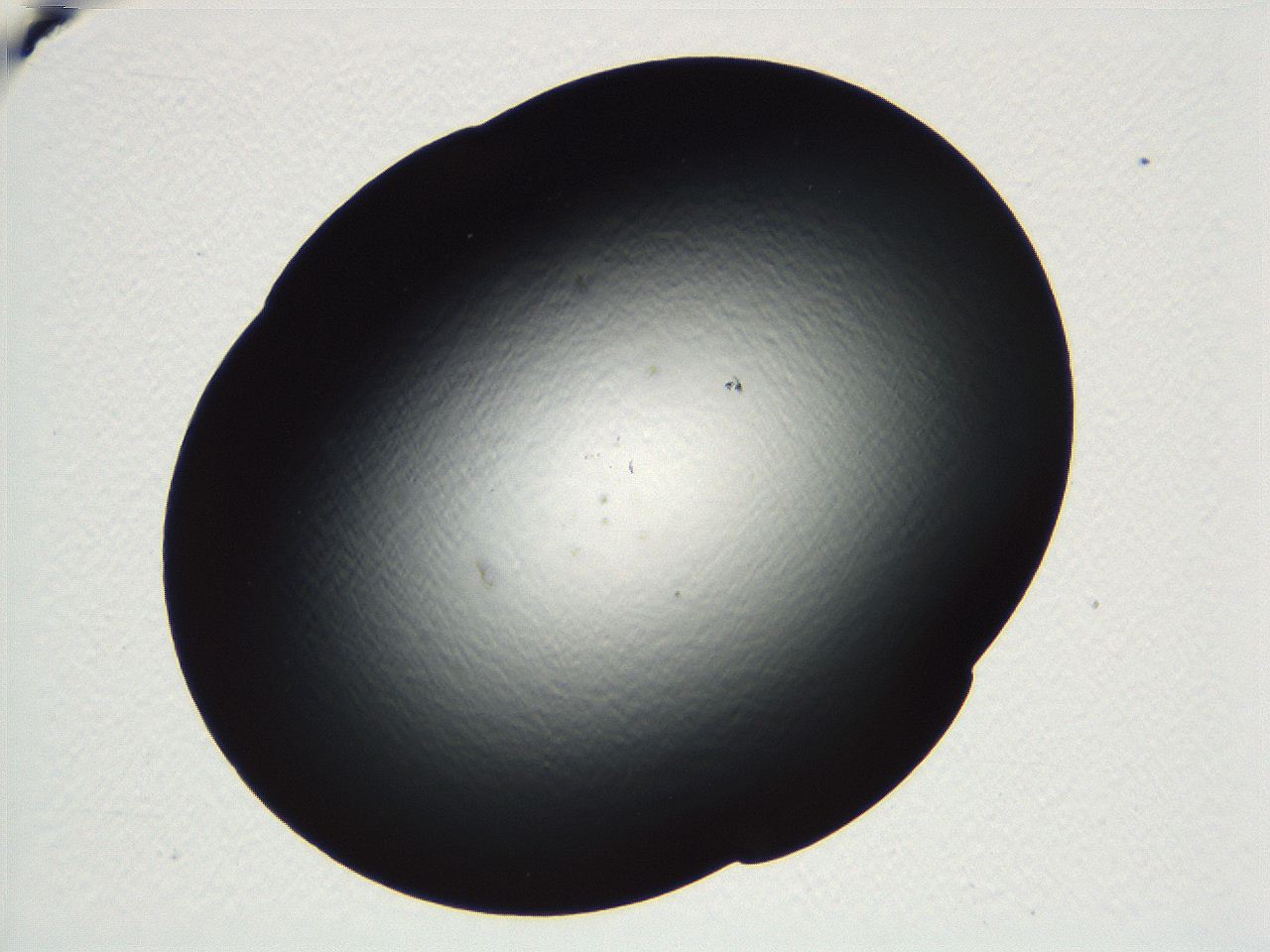 04vd_C8_ImagerDefaults_3.jpg