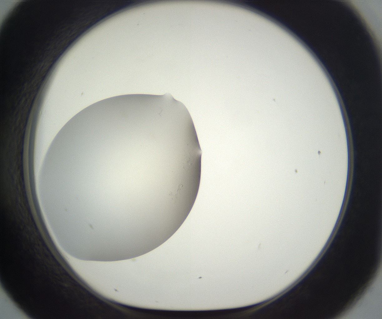 folderID286_plateID3286_batchID20771_wellNum43_profileID1_d1_r290014_ef.jpg