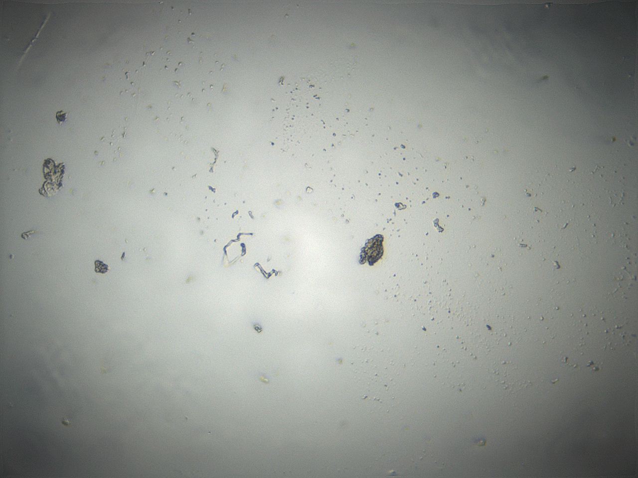 04vd_C12_ImagerDefaults_0.jpg