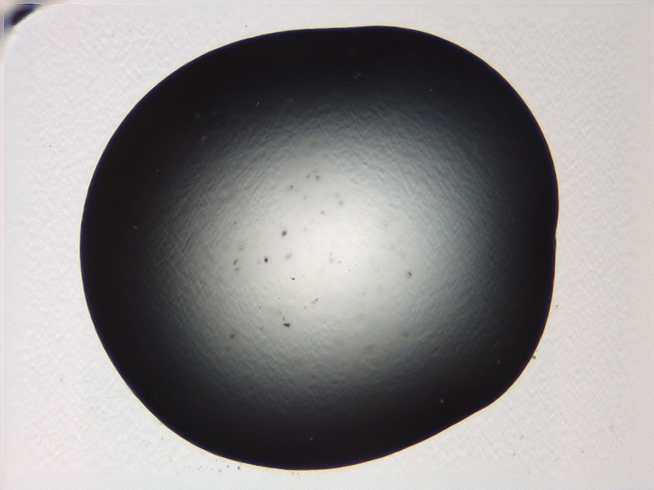 04vd_A1_ImagerDefaults_0.jpg