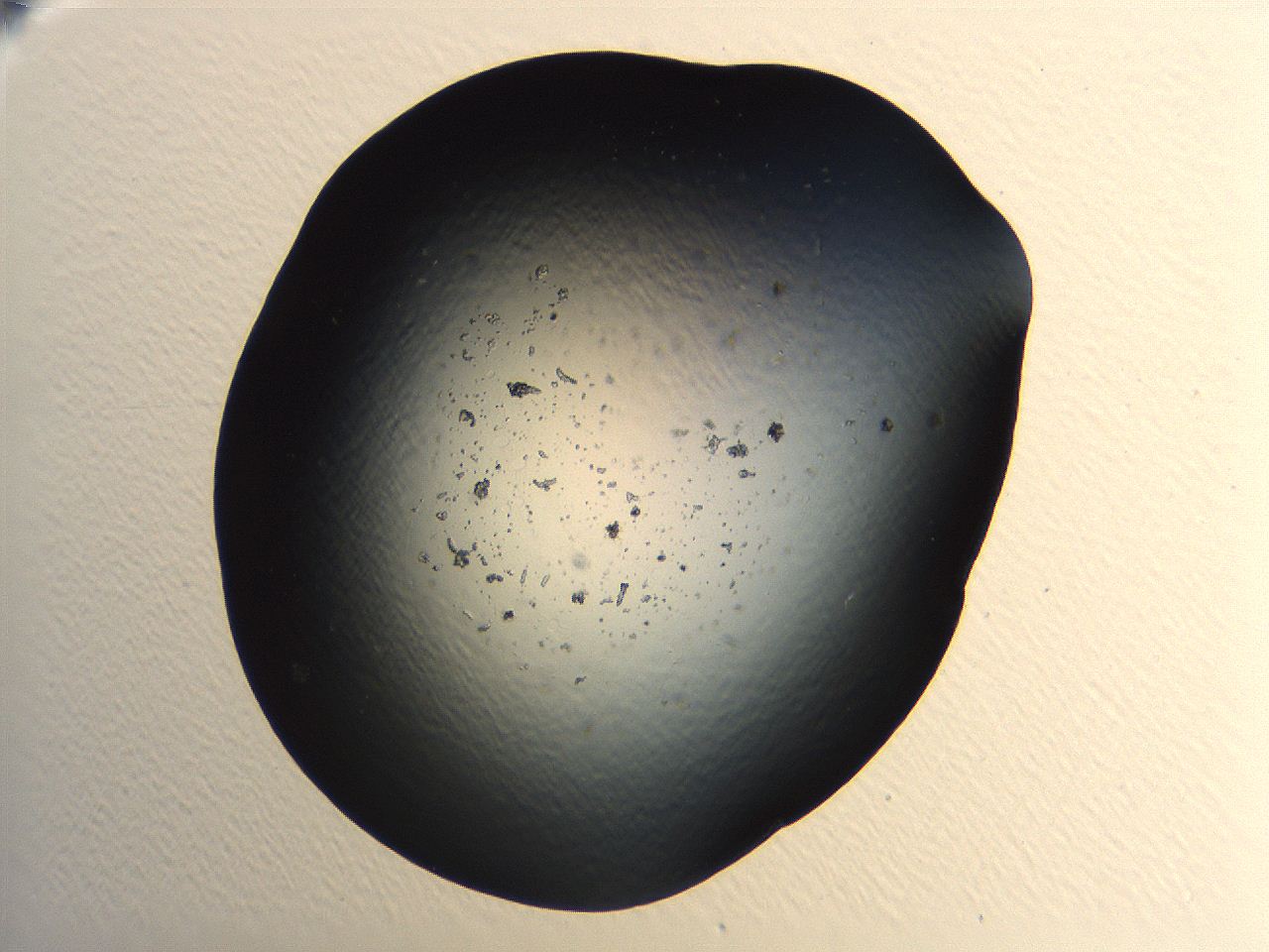 04vd_A11_ImagerDefaults_3.jpg