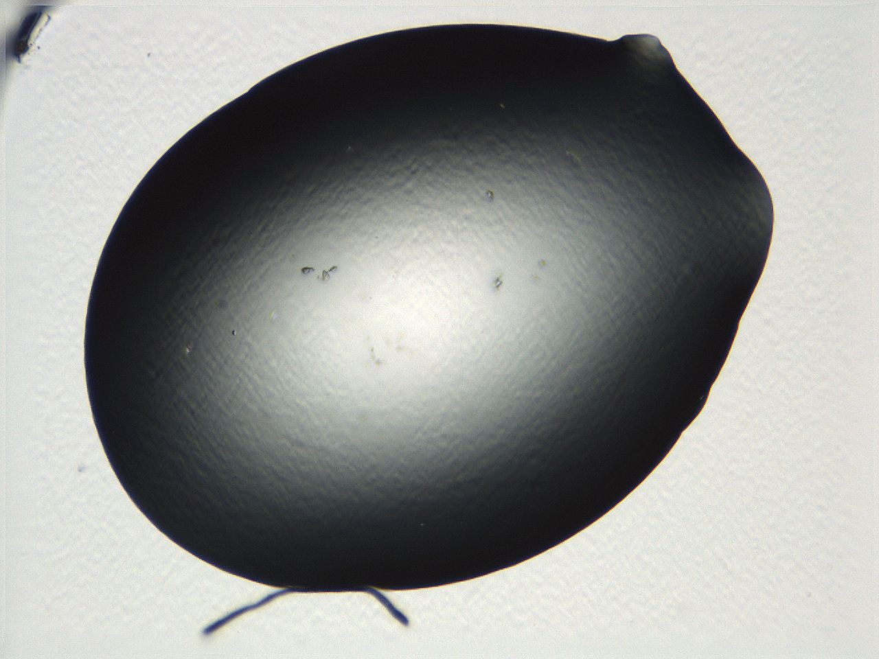 04vd_D11_ImagerDefaults_0.jpg