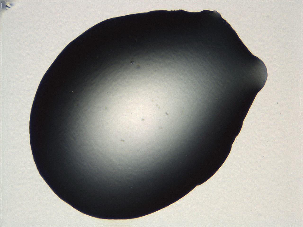 04vd_D12_ImagerDefaults_0.jpg