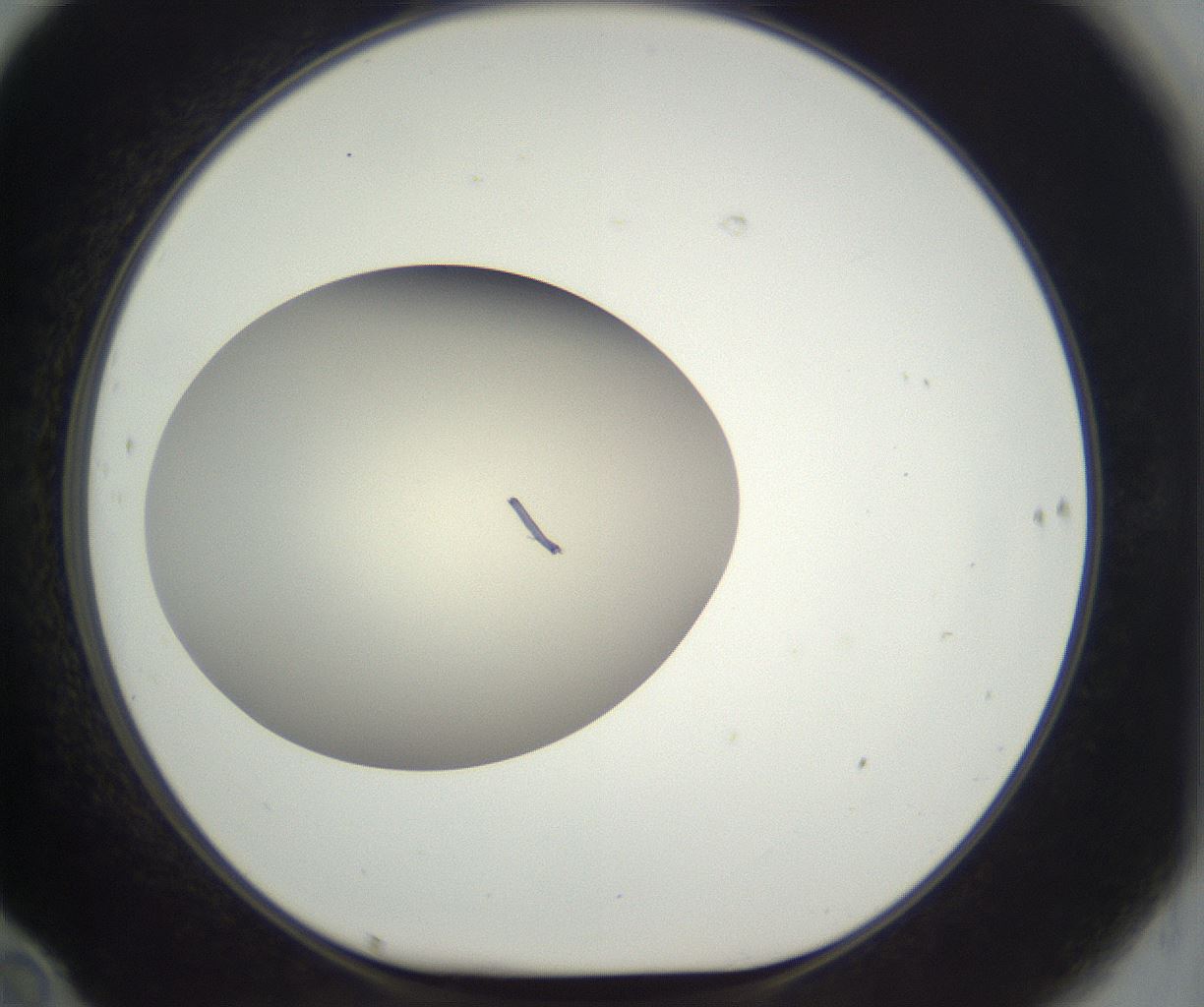 folderID288_plateID3288_batchID20772_wellNum70_profileID1_d1_r290137_ef.jpg