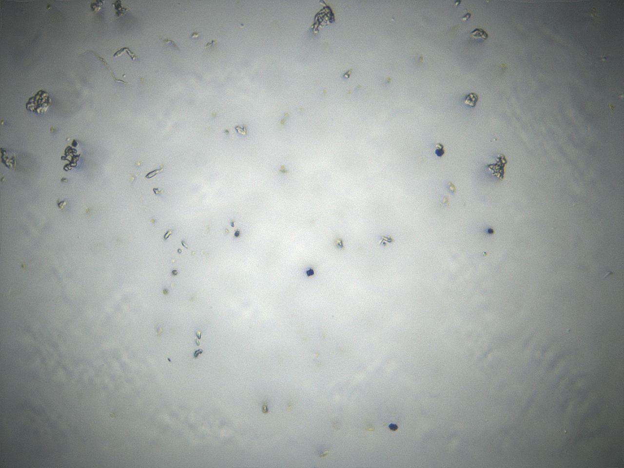 04vd_B11_ImagerDefaults_0.jpg