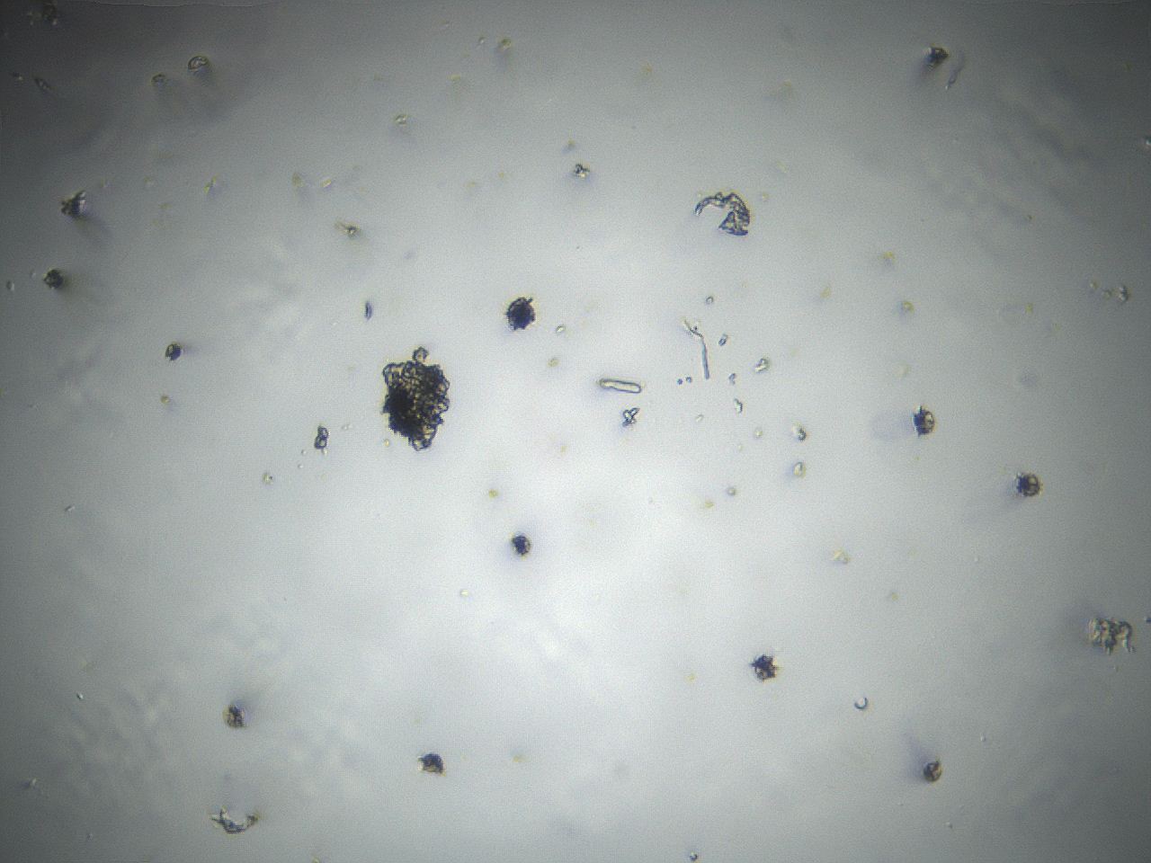 04vd_B12_ImagerDefaults_0.jpg