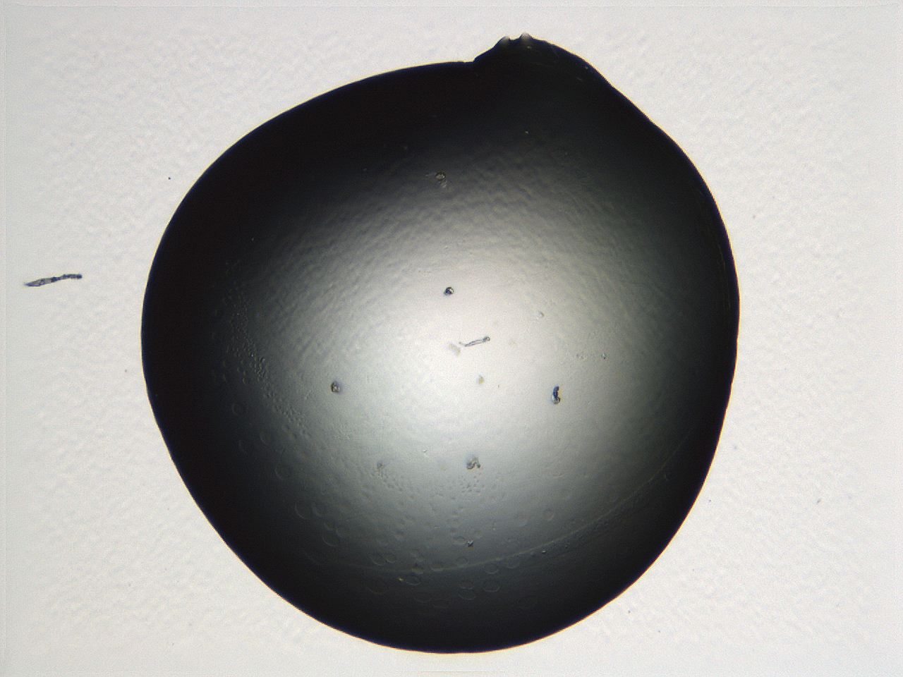 04vd_F12_ImagerDefaults_0.jpg