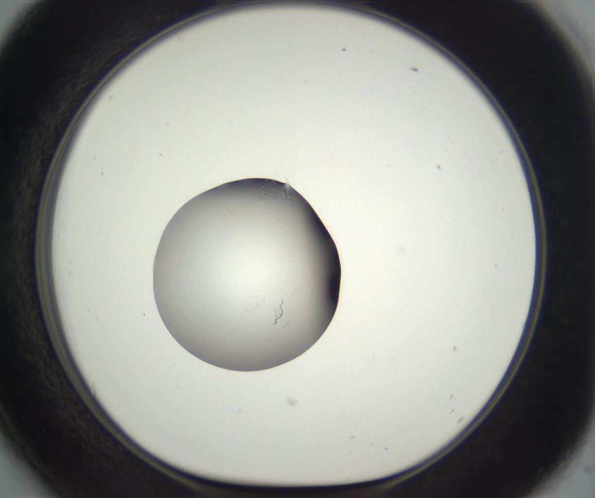 folderID292_plateID3292_batchID19076_wellNum54_profileID1_d1_r290217_ef.jpg