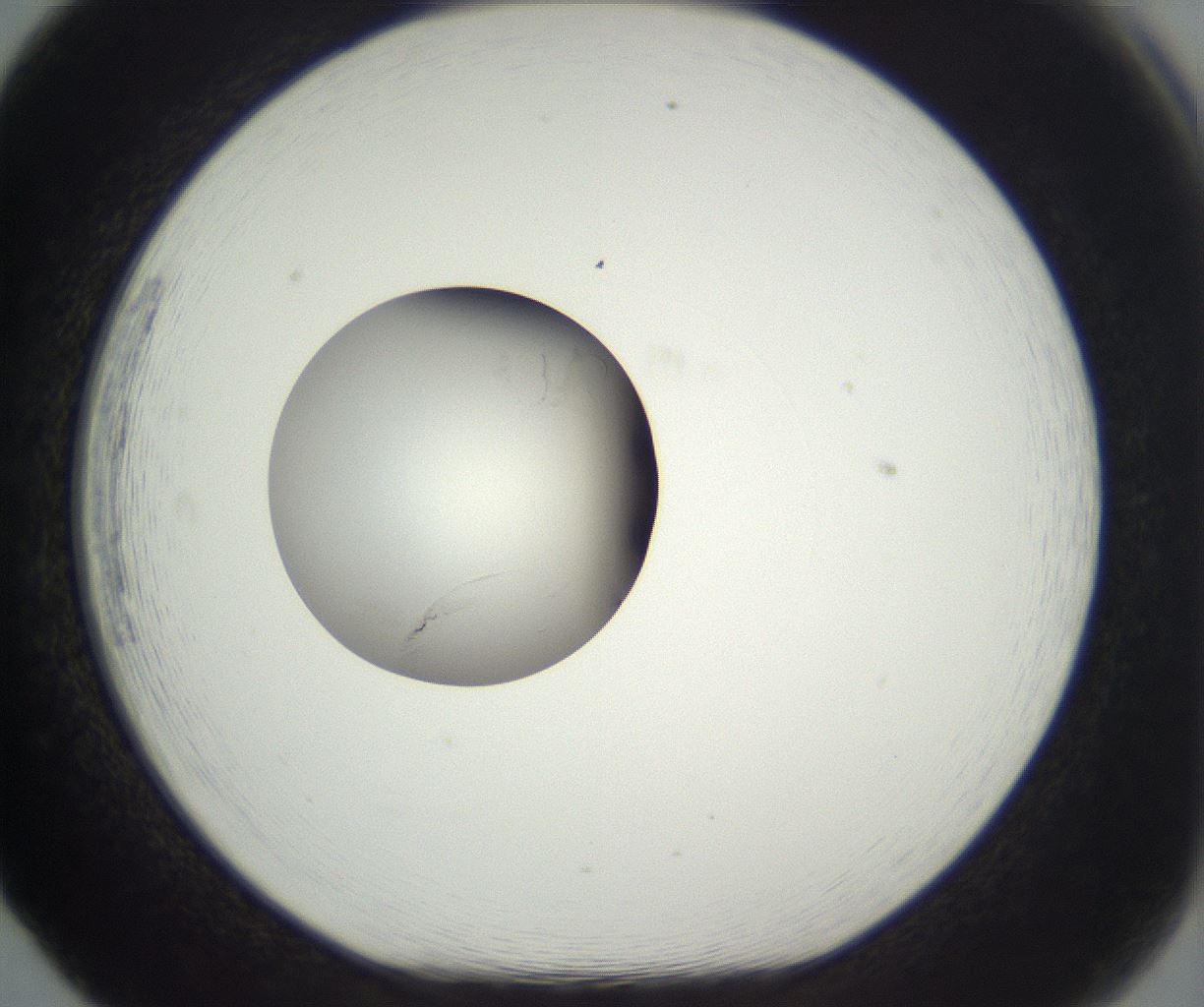folderID292_plateID3292_batchID19720_wellNum65_profileID1_d1_r290228_ef.jpg