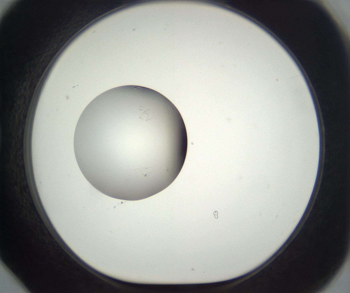 folderID292_plateID3292_batchID19720_wellNum78_profileID1_d1_r290241_ef.jpg