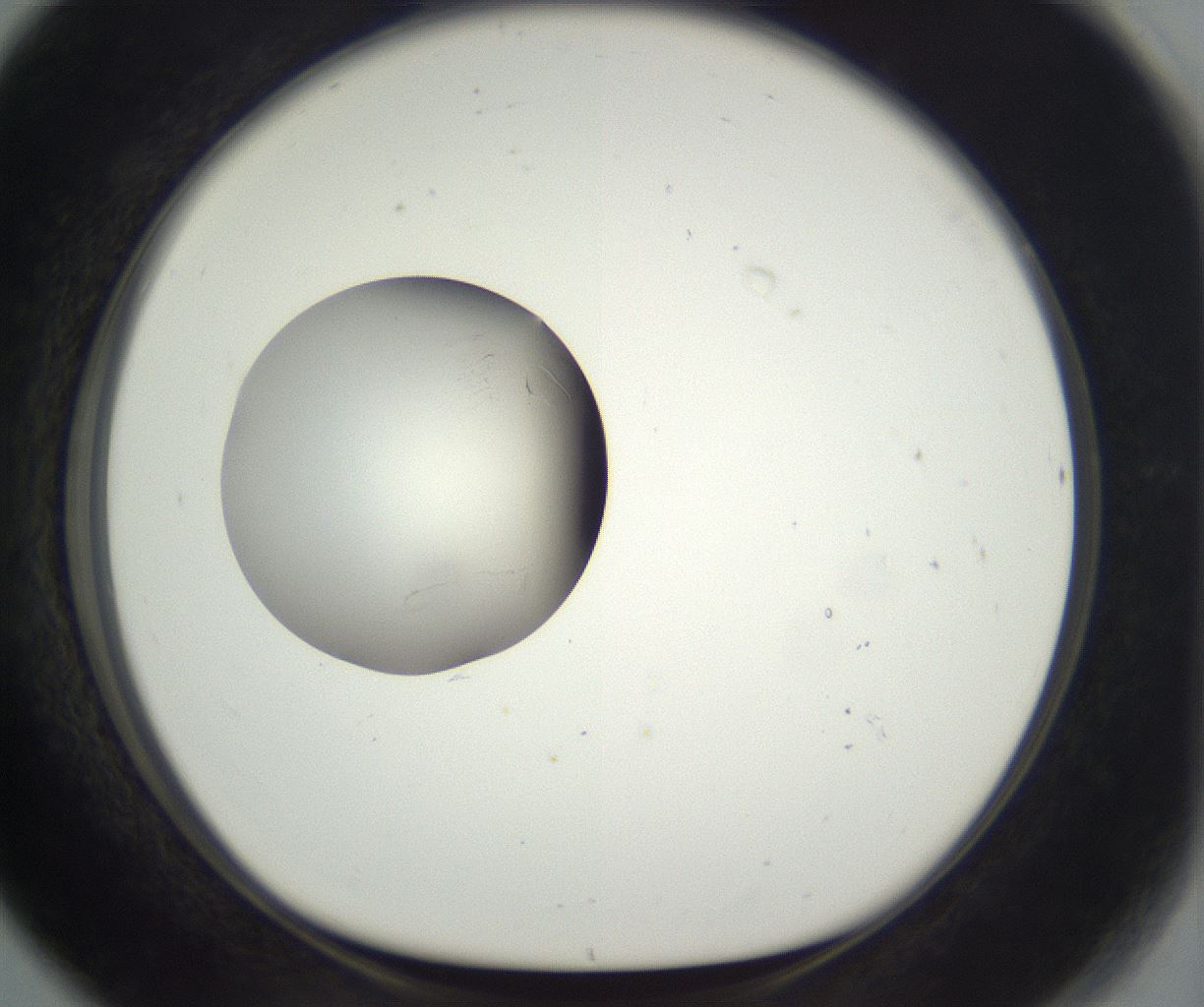 folderID292_plateID3292_batchID19720_wellNum80_profileID1_d1_r290243_ef.jpg