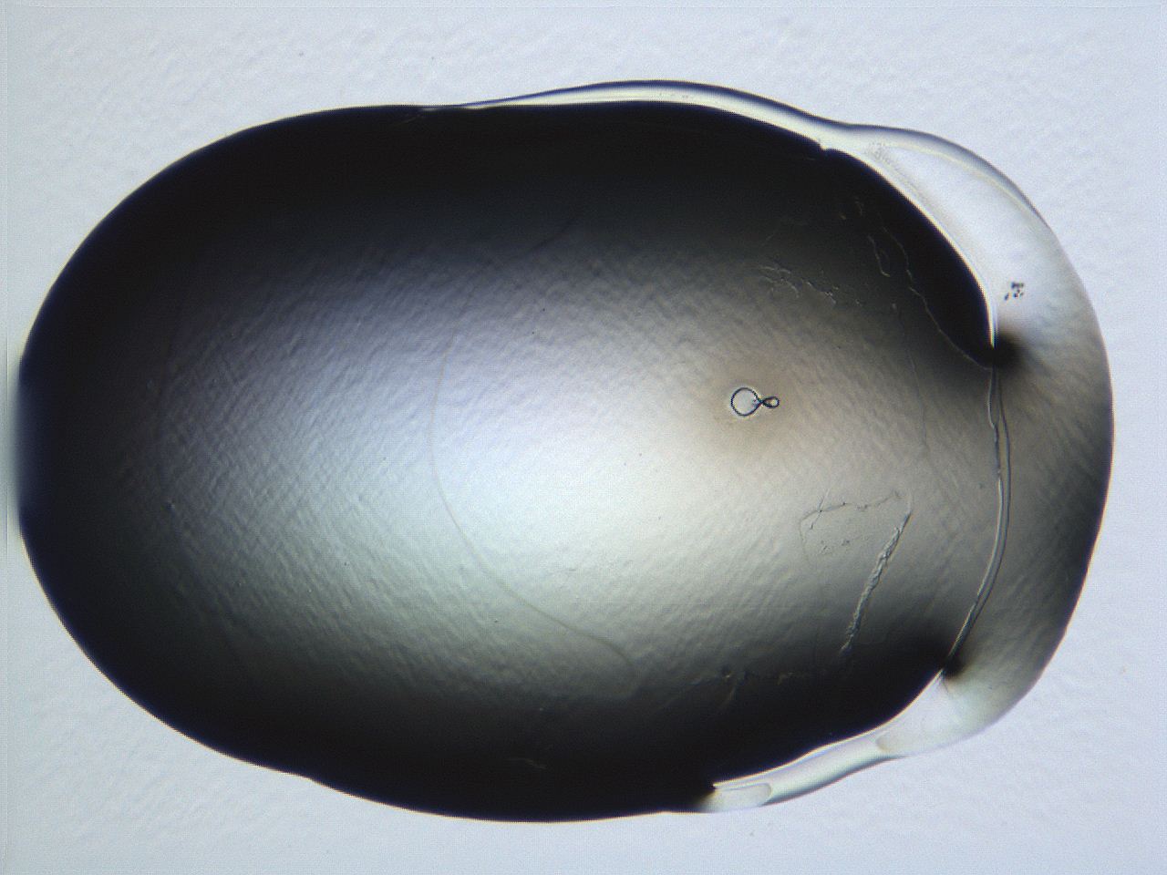 04vd_G11_ImagerDefaults_0.jpg