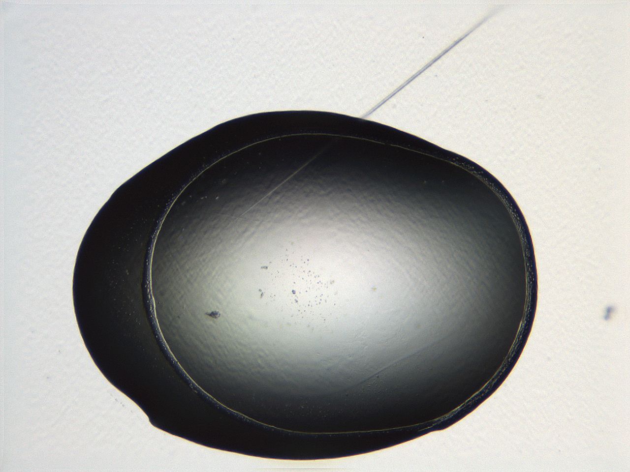 04vd_G12_ImagerDefaults_0.jpg
