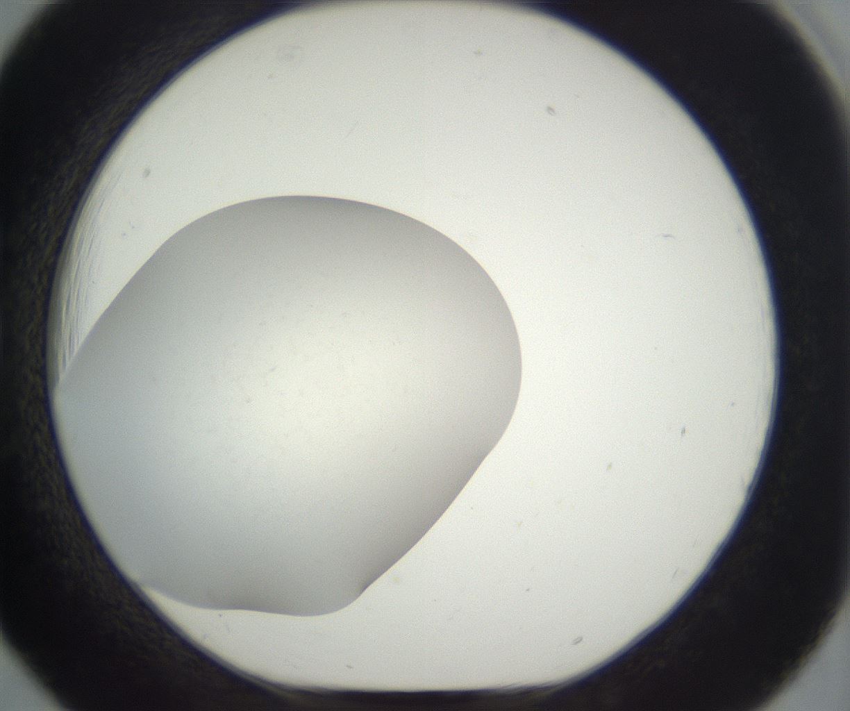 folderID293_plateID3293_batchID19722_wellNum18_profileID1_d1_r290373_ef.jpg