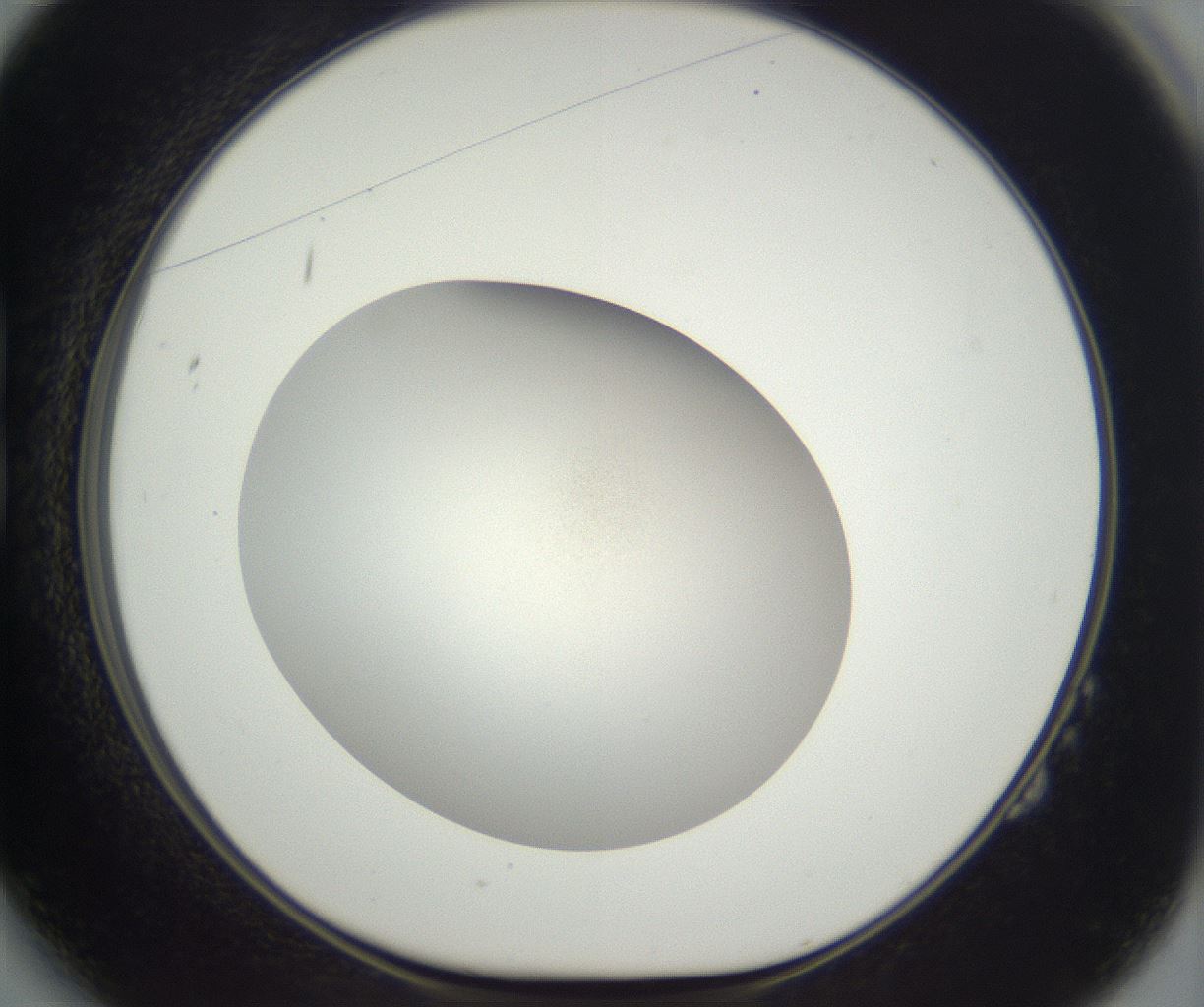 folderID297_plateID3297_batchID18804_wellNum14_profileID1_d1_r290465_ef.jpg