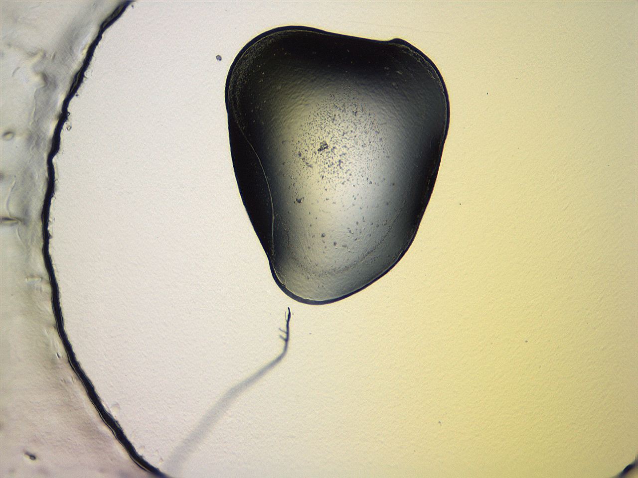 04vd_H10_ImagerDefaults_3.jpg