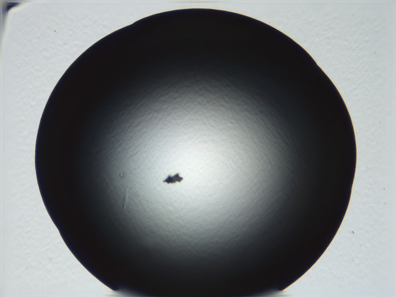 04ve_C1_ImagerDefaults_0.jpg