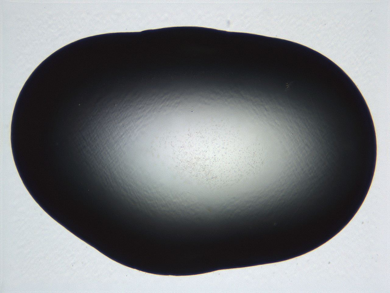 04ve_C5_ImagerDefaults_0.jpg