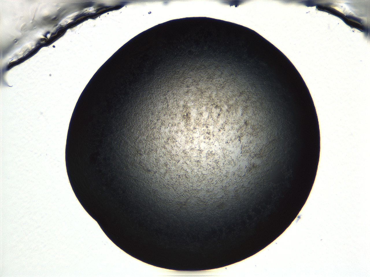 04ve_B12_ImagerDefaults_3.jpg