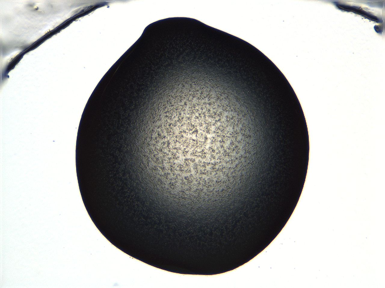 04ve_B11_ImagerDefaults_3.jpg