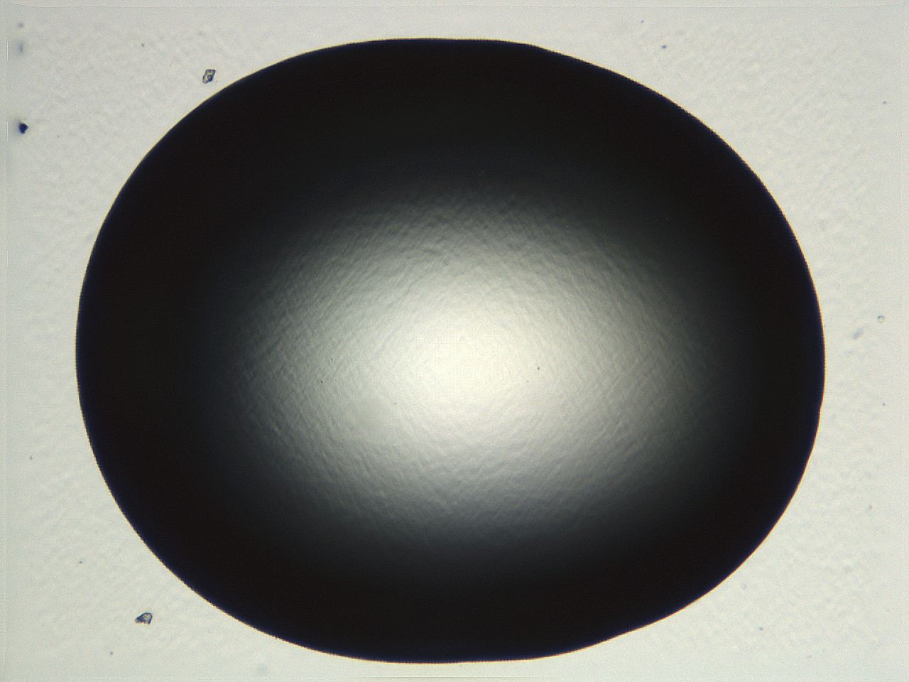 04ve_G1_ImagerDefaults_0.jpg