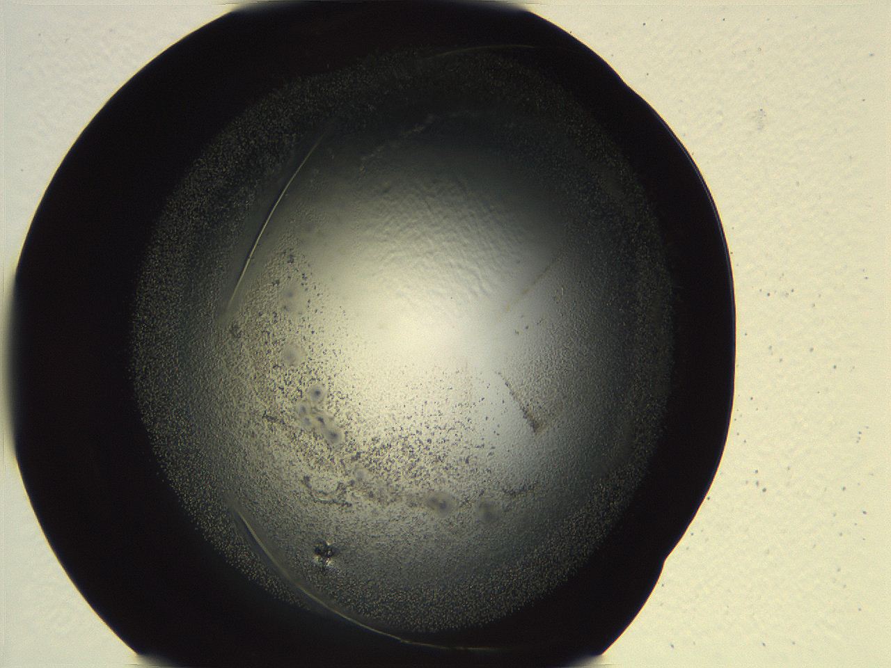 04ve_G10_ImagerDefaults_3.jpg
