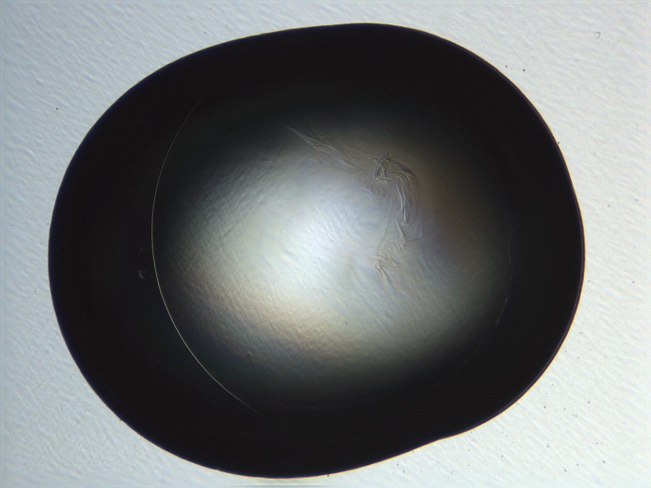 04ve_H5_ImagerDefaults_0.jpg