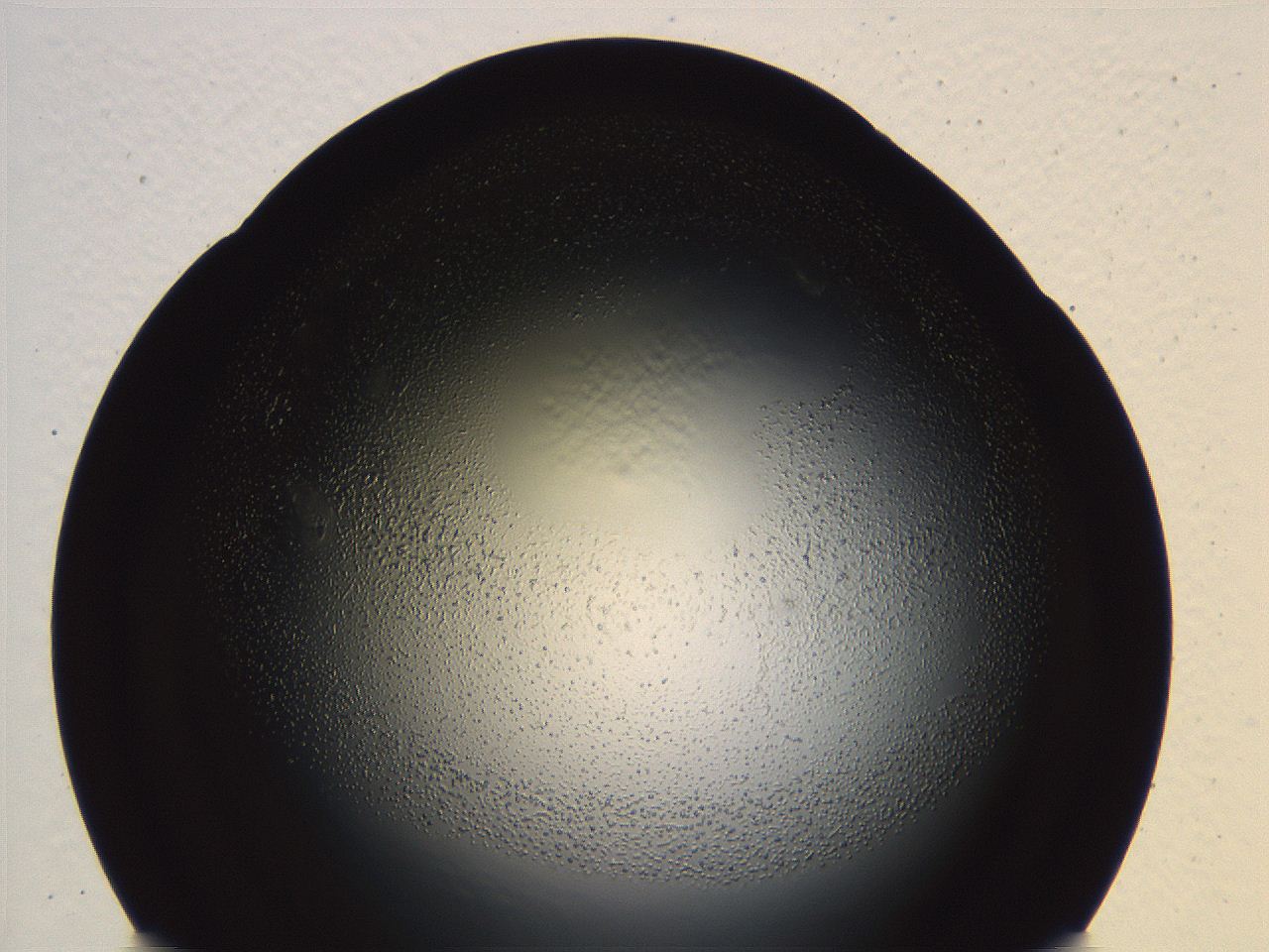 04ve_H10_ImagerDefaults_3.jpg