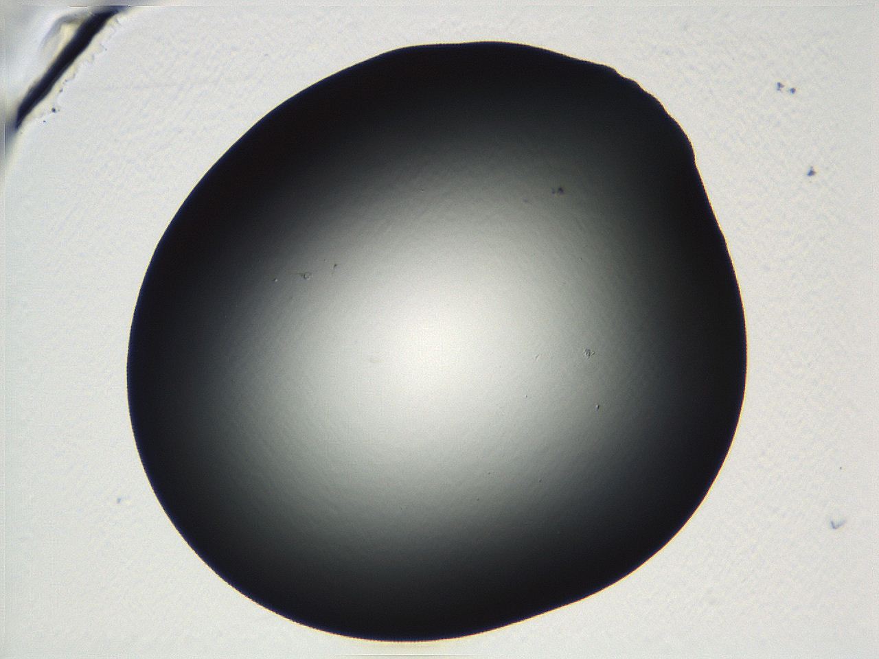 04vf_D3_ImagerDefaults_0.jpg