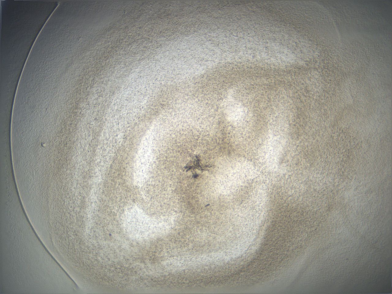 04vf_C1_ImagerDefaults_3.jpg