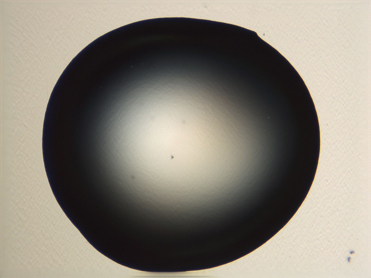 04vf_A11_ImagerDefaults_0.jpg