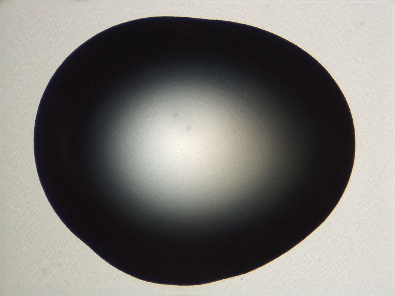 04vf_A12_ImagerDefaults_0.jpg