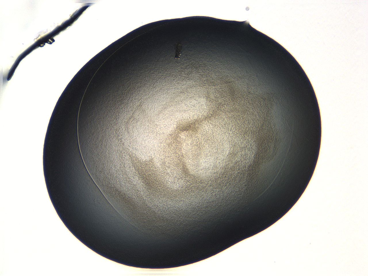 04vf_B1_ImagerDefaults_3.jpg