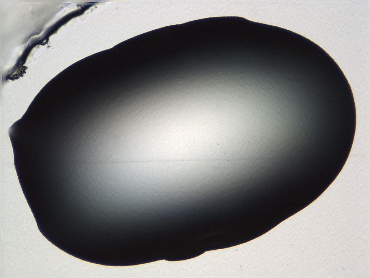 04vf_B5_ImagerDefaults_0.jpg