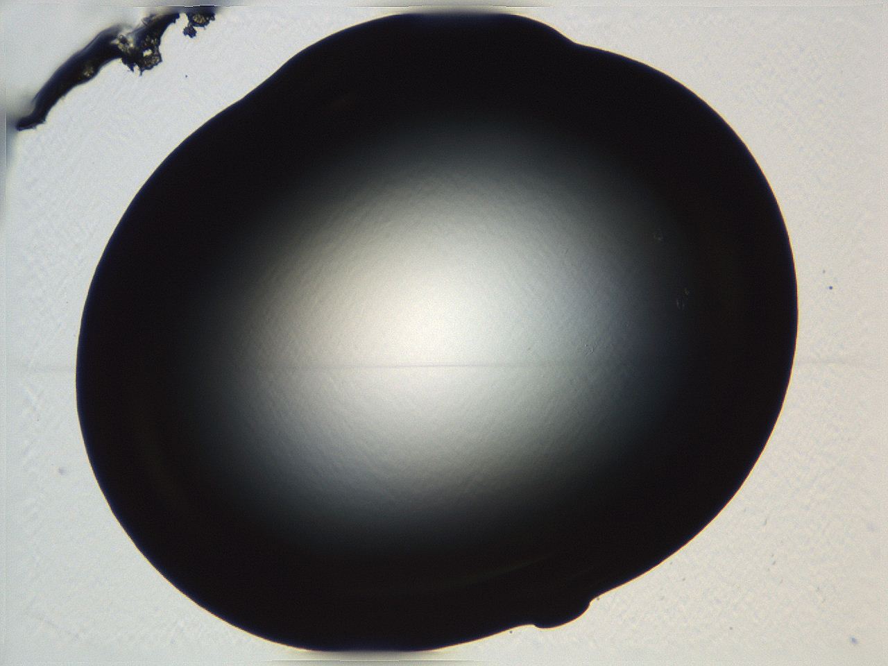 04vf_B6_ImagerDefaults_0.jpg