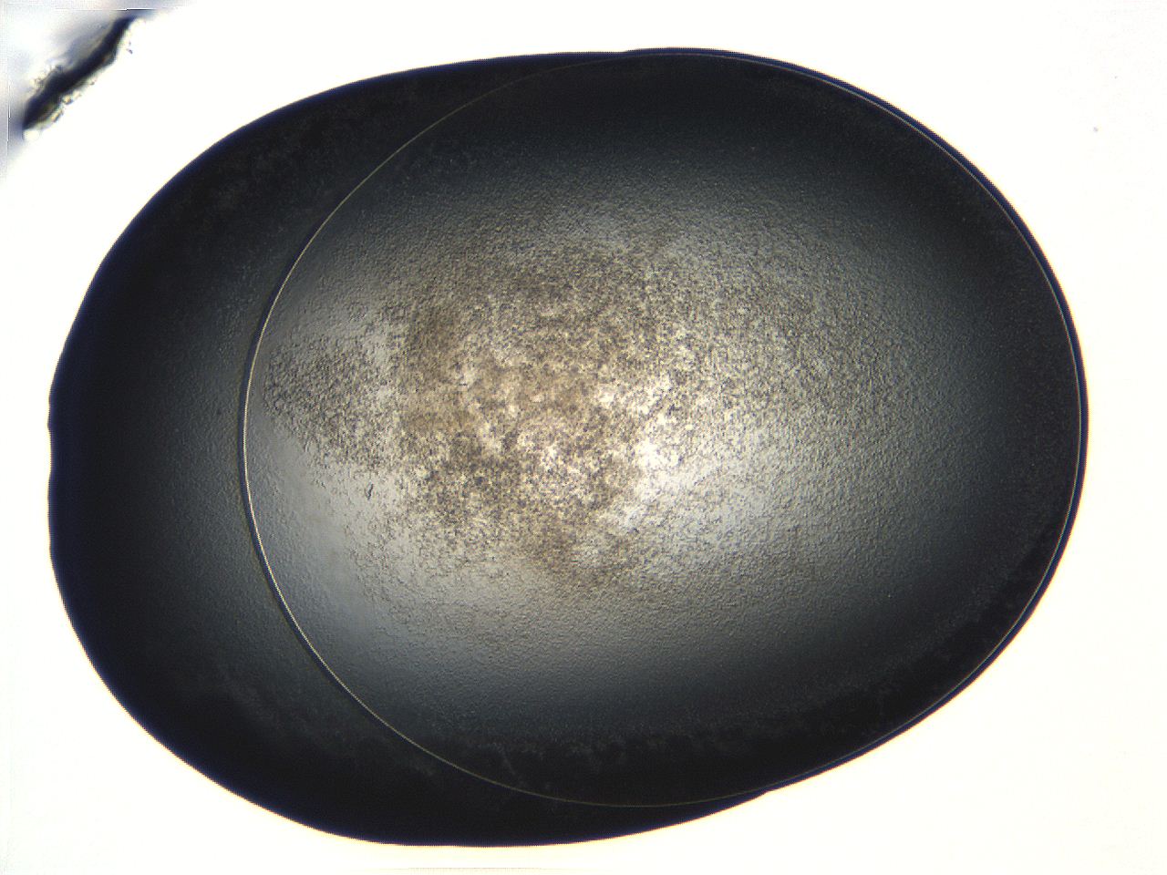 04vf_B10_ImagerDefaults_3.jpg